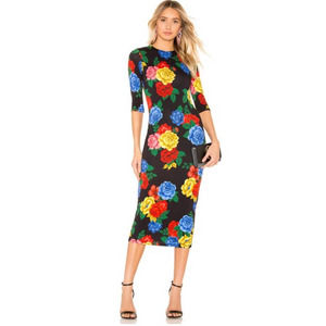 Alice + Olivia Delora Floral Camilla Bouquet Dress NWT Sz. 2